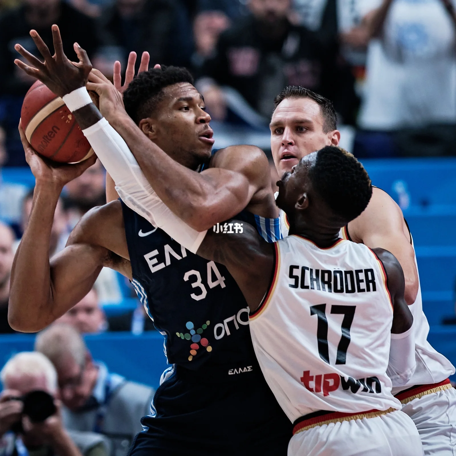 关于字母哥迎来七赛季高光表现，中国队球迷沸腾！的信息